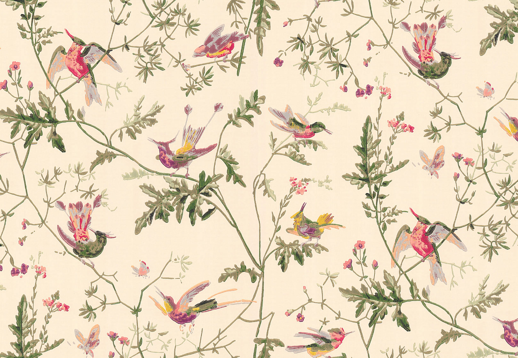 Обои Cole & Son Collection of Flowers 62/1001