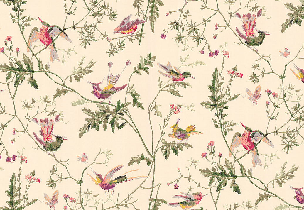 Обои Cole & Son Collection of Flowers 62/1001