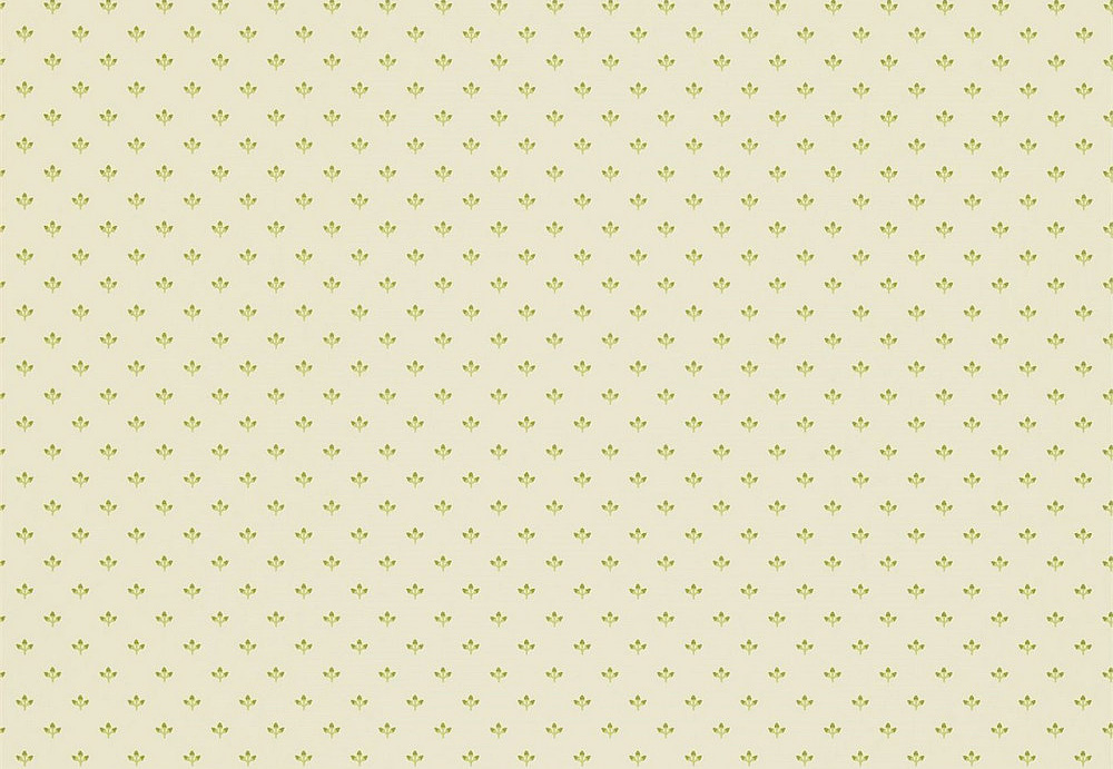 Обои Sanderson Pemberley DPEMEL107
