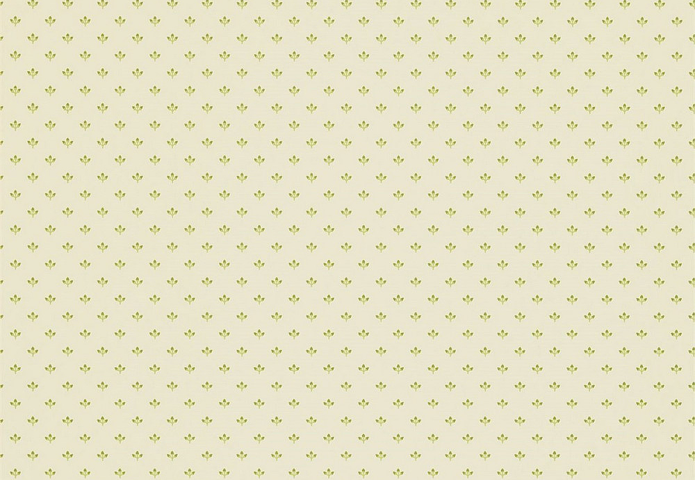 Обои Sanderson Pemberley DPEMEL107