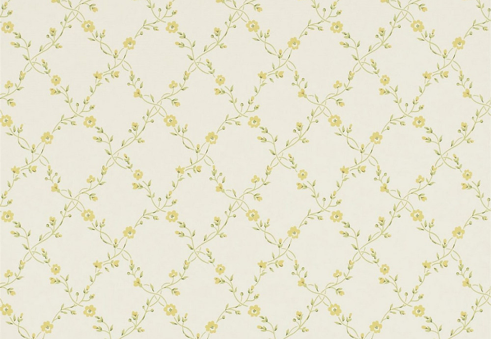 Обои Sanderson Pemberley DPEMFM103