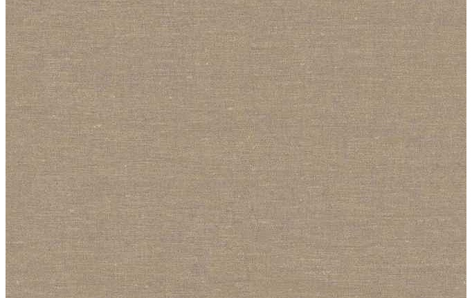 Нидерландские обои BN International, коллекция Grounded, артикул BN219429