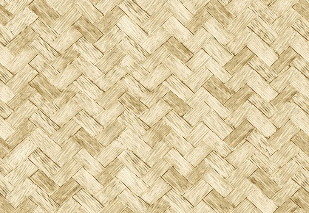 Обои Parato Cristiana Masi (Amazzonia) 22068
