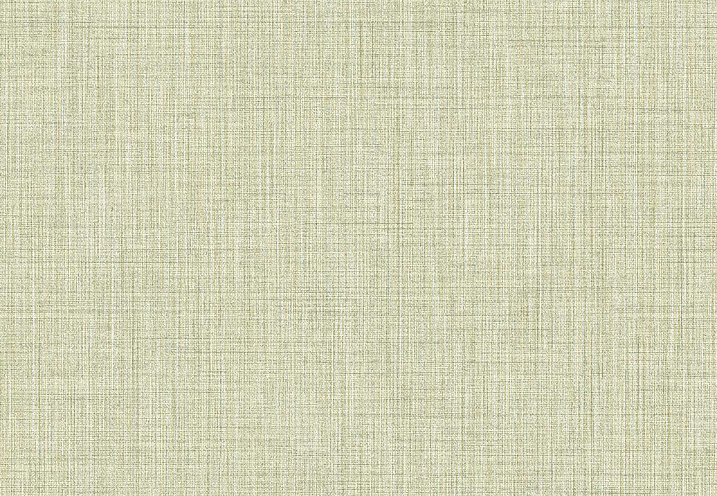 Обои Parato Cristiana Masi (Amazzonia) 22085