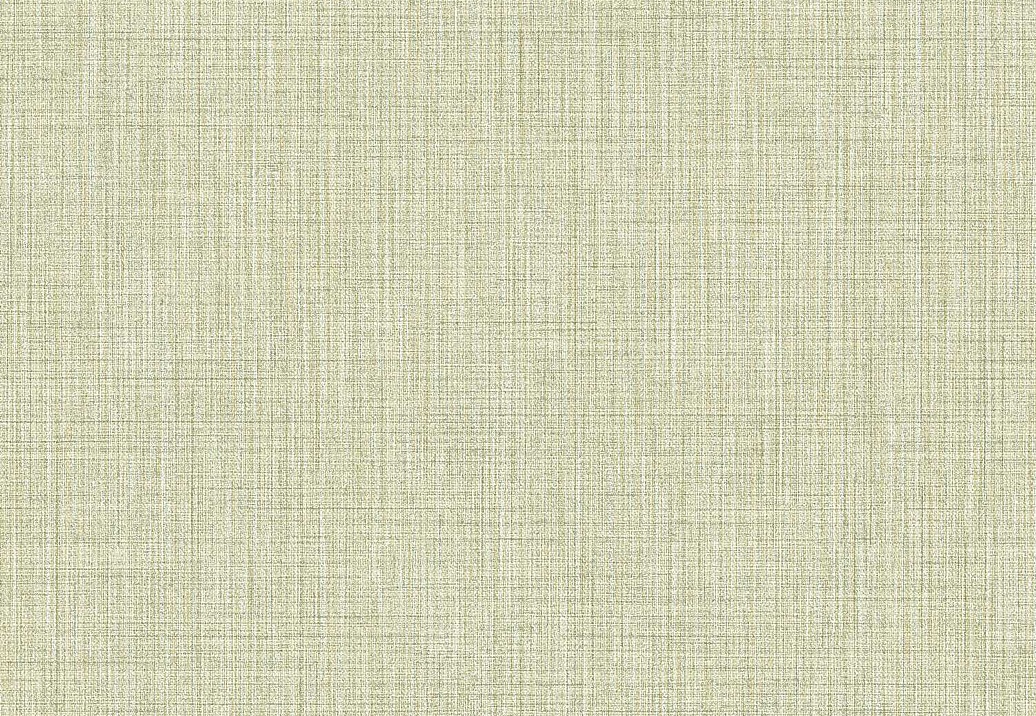 Обои Parato Cristiana Masi (Amazzonia) 22085