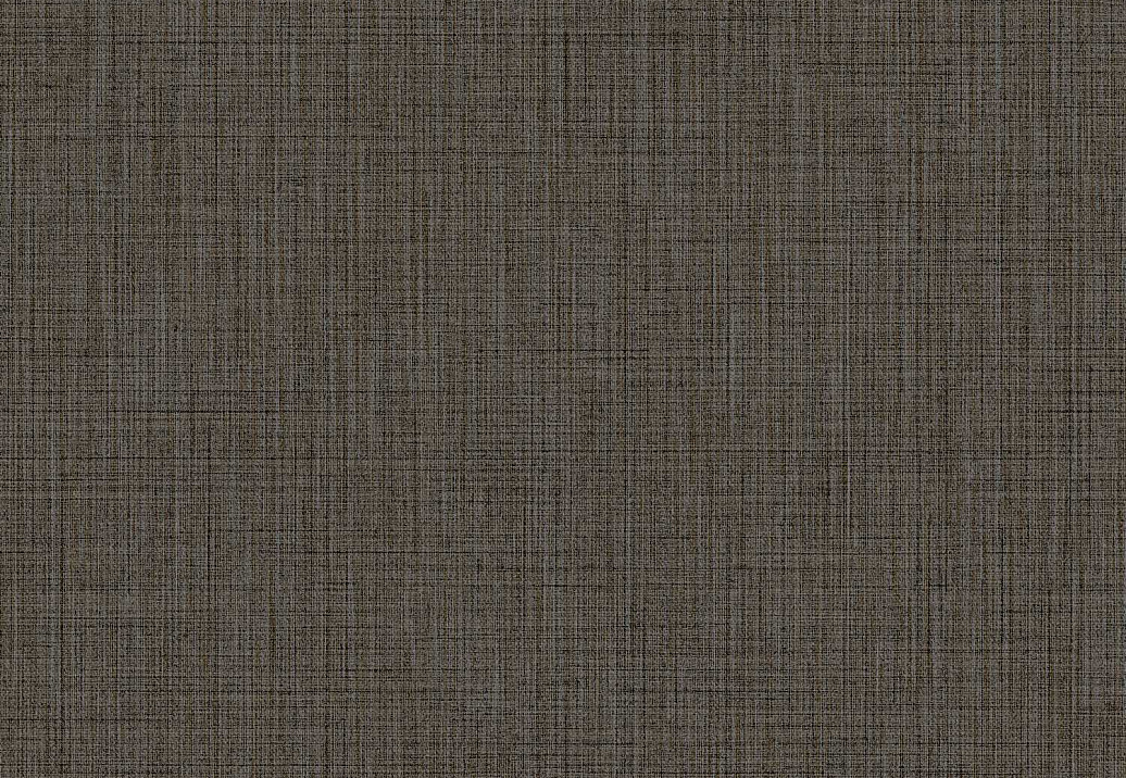 Обои Parato Cristiana Masi (Amazzonia) 22089