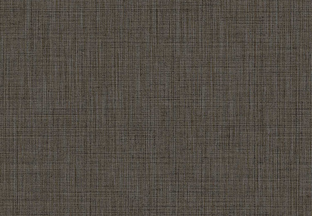 Обои Parato Cristiana Masi (Amazzonia) 22089