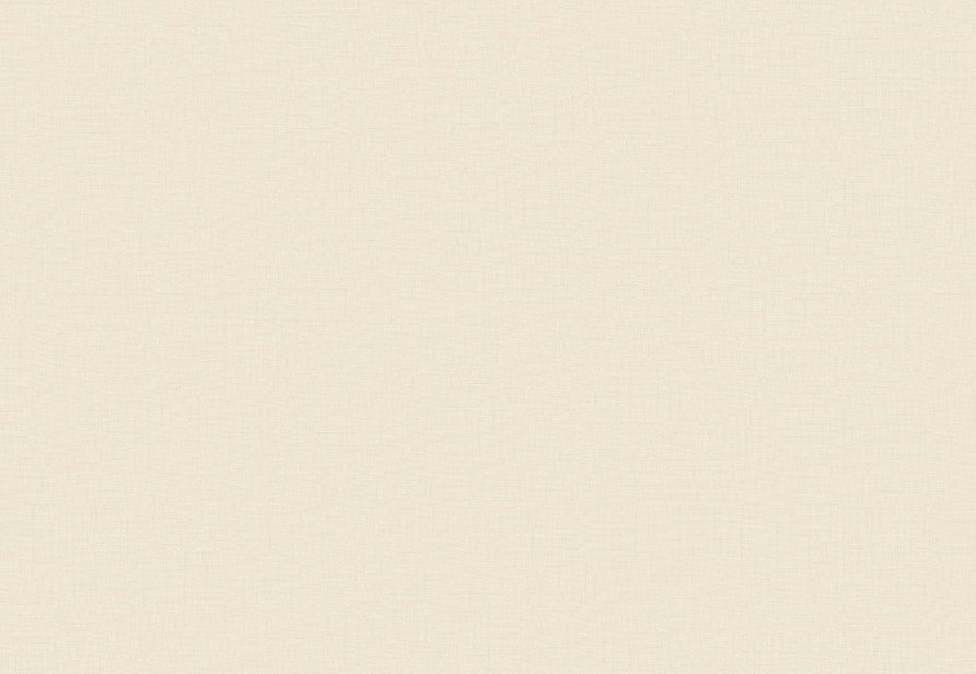 Обои BN International Doodleedo 220800
