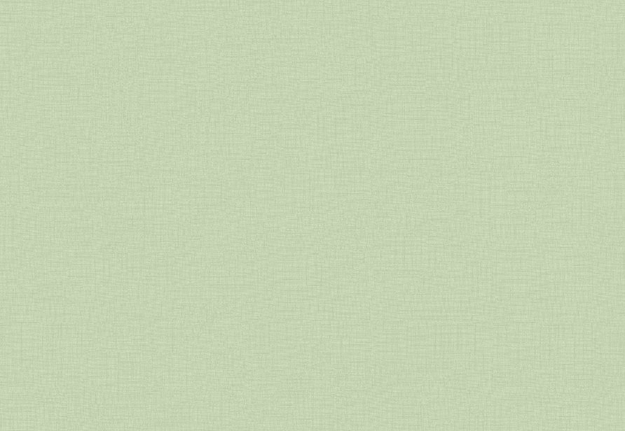Обои BN International Doodleedo 220802