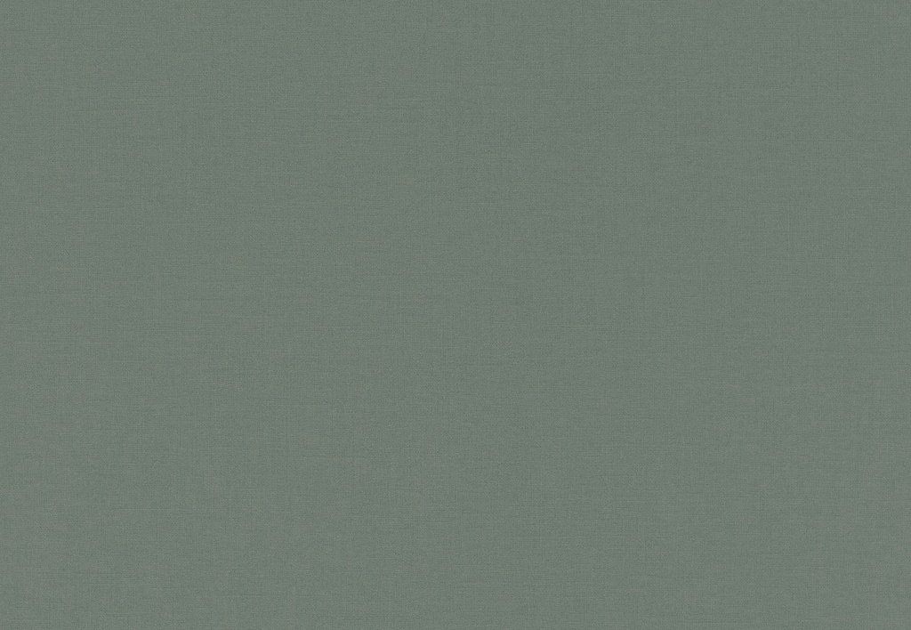 Обои Rasch Salisbury 552751