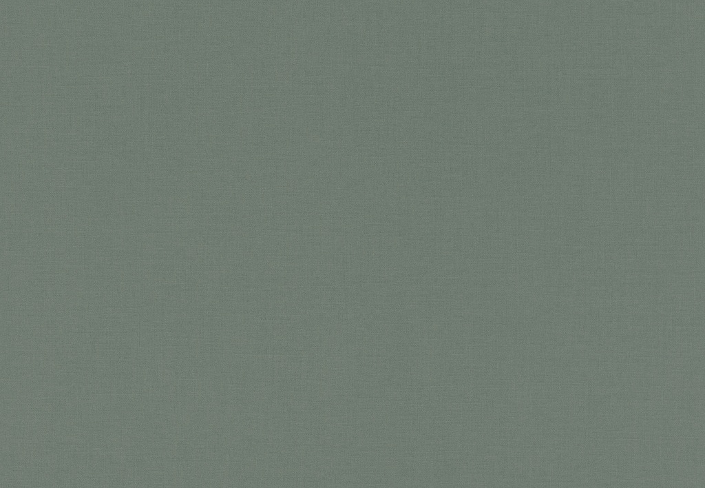 Обои Rasch Salisbury 552751