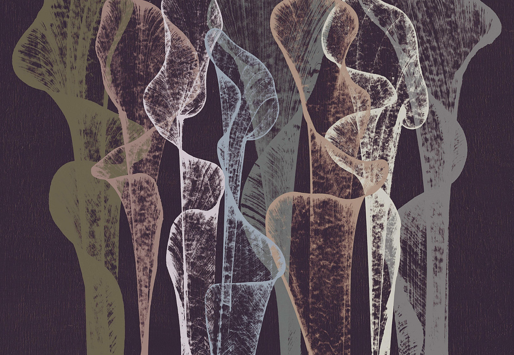 Обои Wall & Deco Contemporary Wallpaper Collection WDTR2102