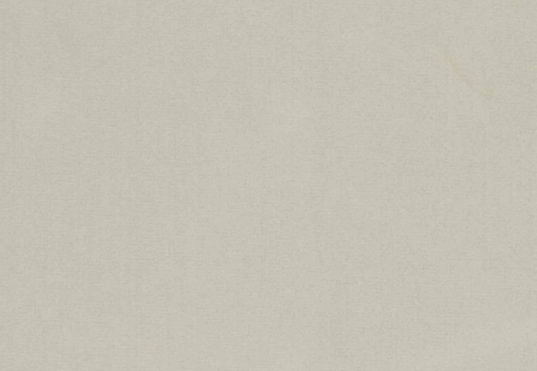 Ткань Daylight Pure Saten Orba/6