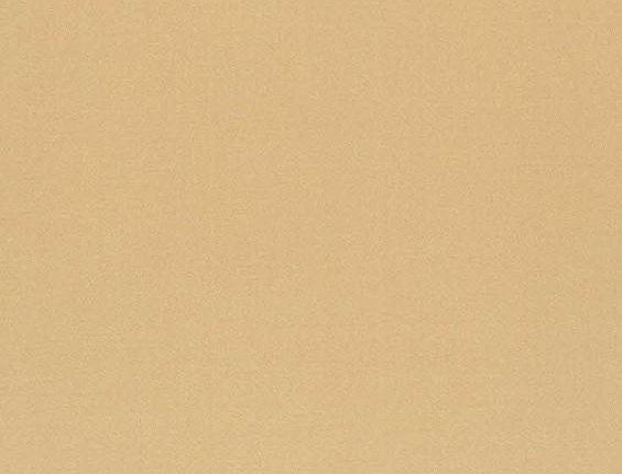 Ткань Daylight Pure Saten Vion/Buff