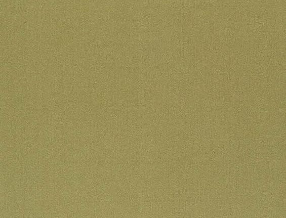 Ткань Daylight Pure Saten Vion/Moss