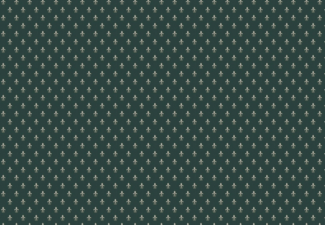 Ткань Jab Empire JA2021-031