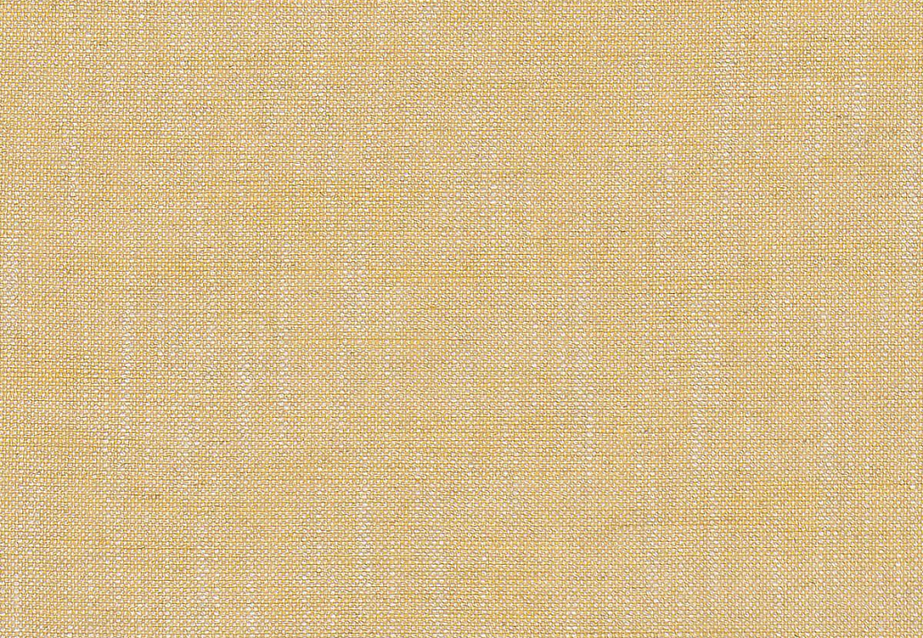 Ткань GP & J Baker House Plain & Stripe BF11006/814