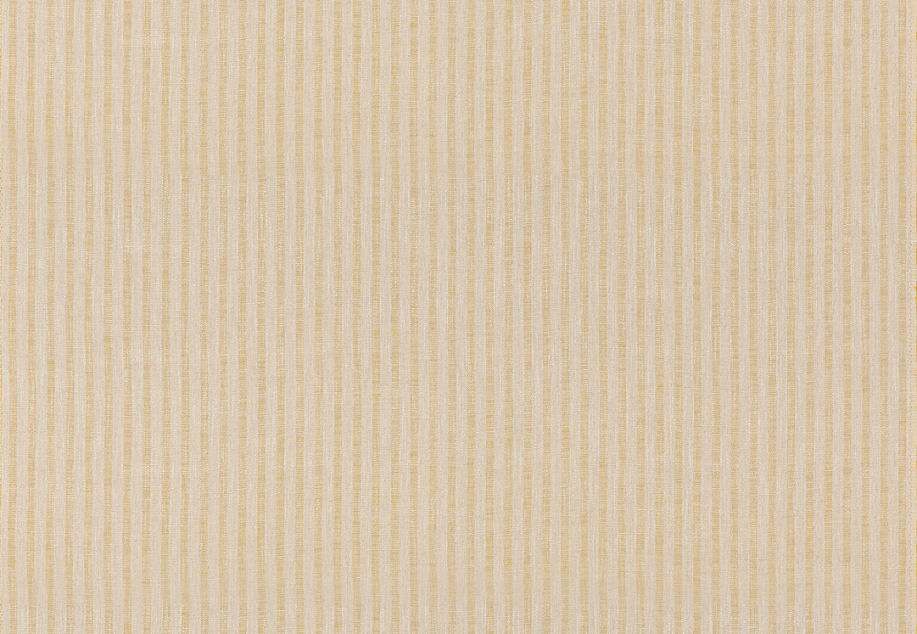 Ткань GP & J Baker House Plain & Stripe BF11007/814
