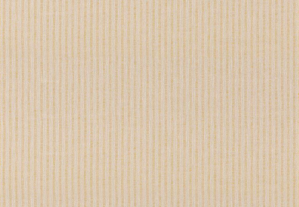 Ткань GP & J Baker House Plain & Stripe BF11007/814