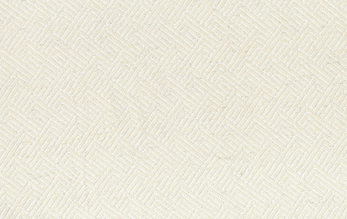 ткань Espocada, коллекция Эволюция, артикул 2637/11