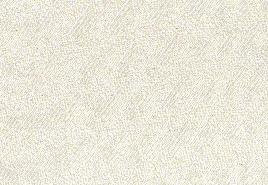 Ткань Espocada Эволюция 2637/11