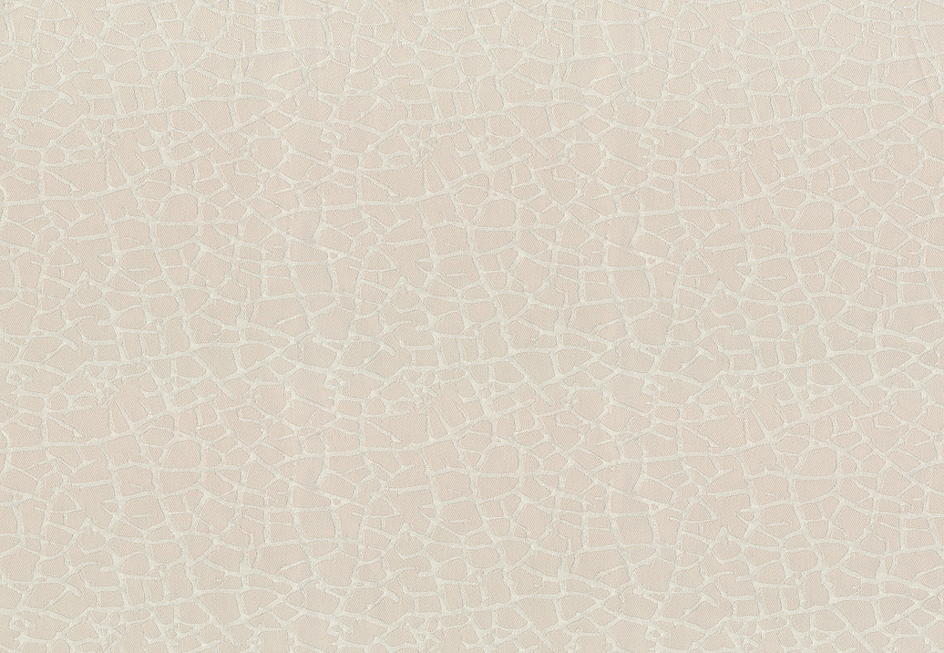Ткань Espocada Эволюция 2639/13