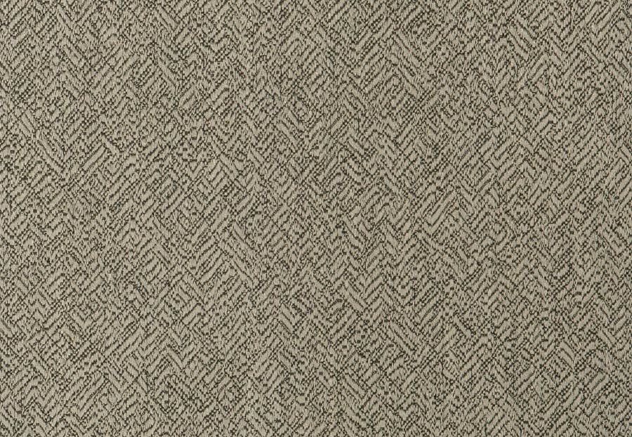 Ткань Fabricut Vignettes Vol.XVI Graphite CastingDirector/Flint