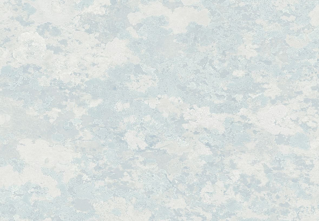 Обои Mayflower Transition FJ30308