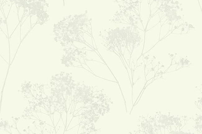 Обои York Aviva Stanoff Signature VA1222