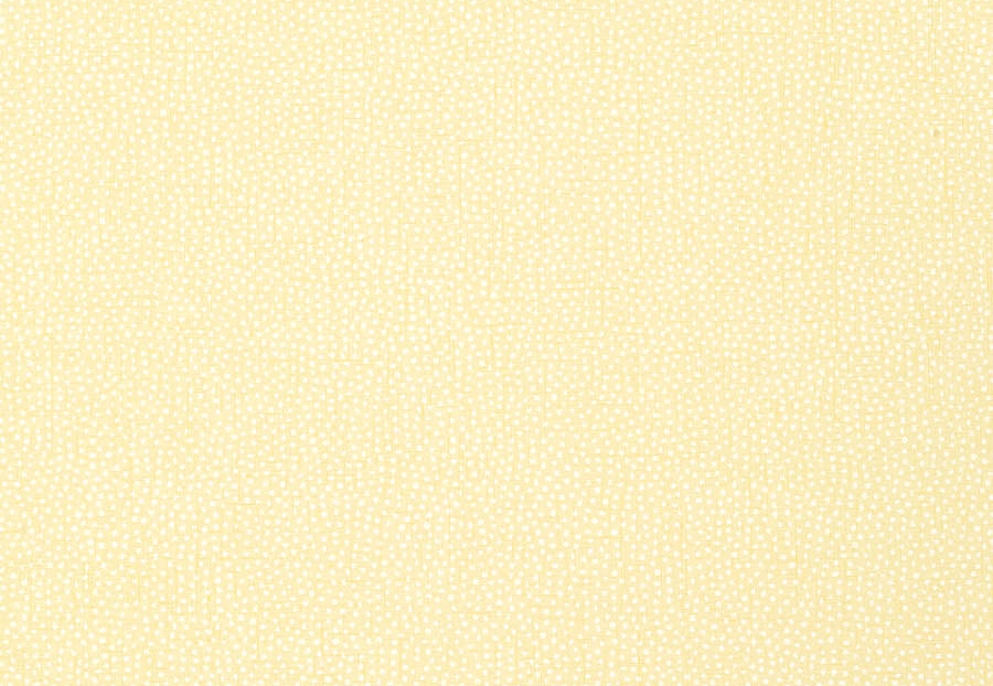 Обои Thibaut Paramount T2969