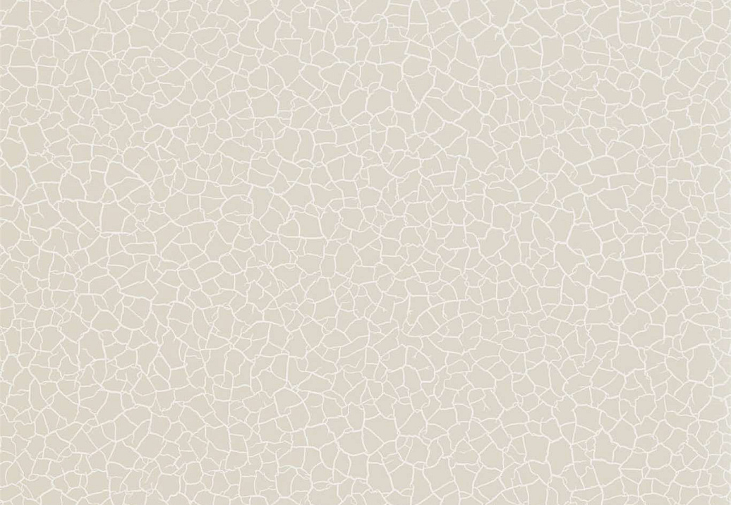 Обои Zoffany Oblique 312833