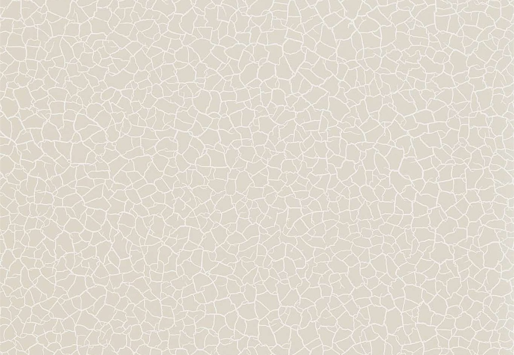 Обои Zoffany Oblique 312833