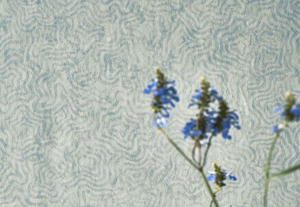 Обои Designers Guild Foscari Fresco with paint Litho PDG1092-03