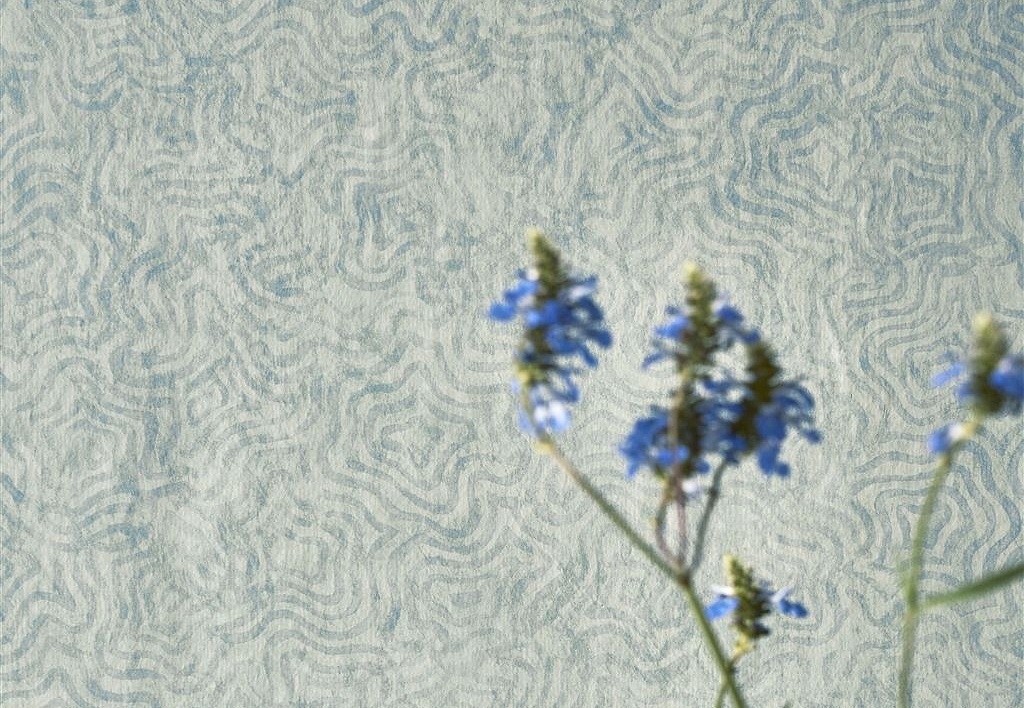 Обои Designers Guild Foscari Fresco with paint Litho PDG1092-03