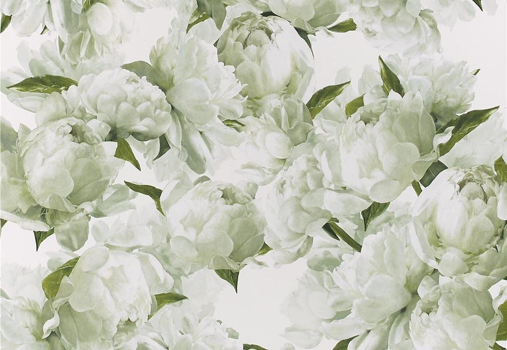Обои Designers Guild Foscari Fresco with paint Litho PDG1094-03