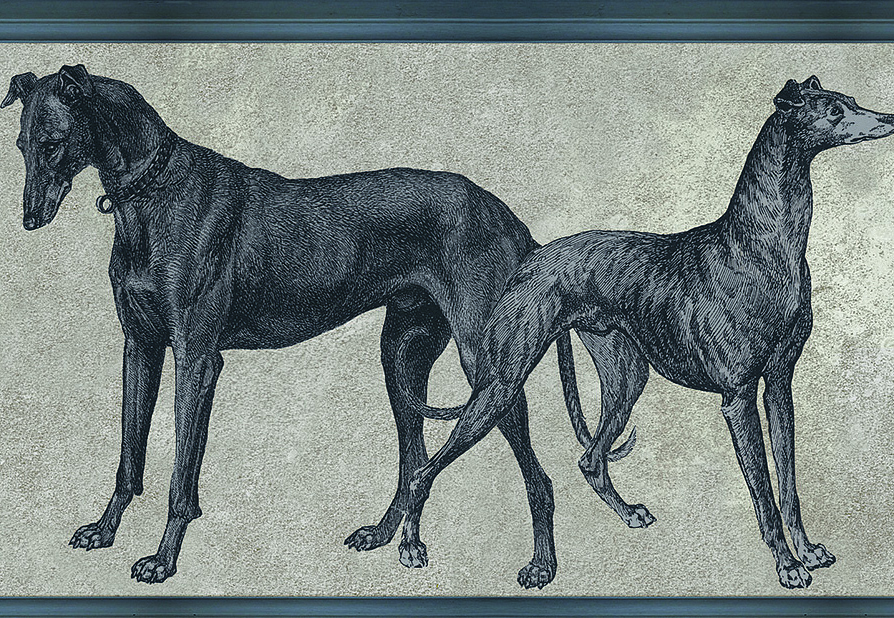 Обои Tenue de Ville Ode Canis Royal/ODE-191915