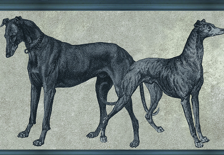 Обои Tenue de Ville Ode Canis Royal/ODE-191915
