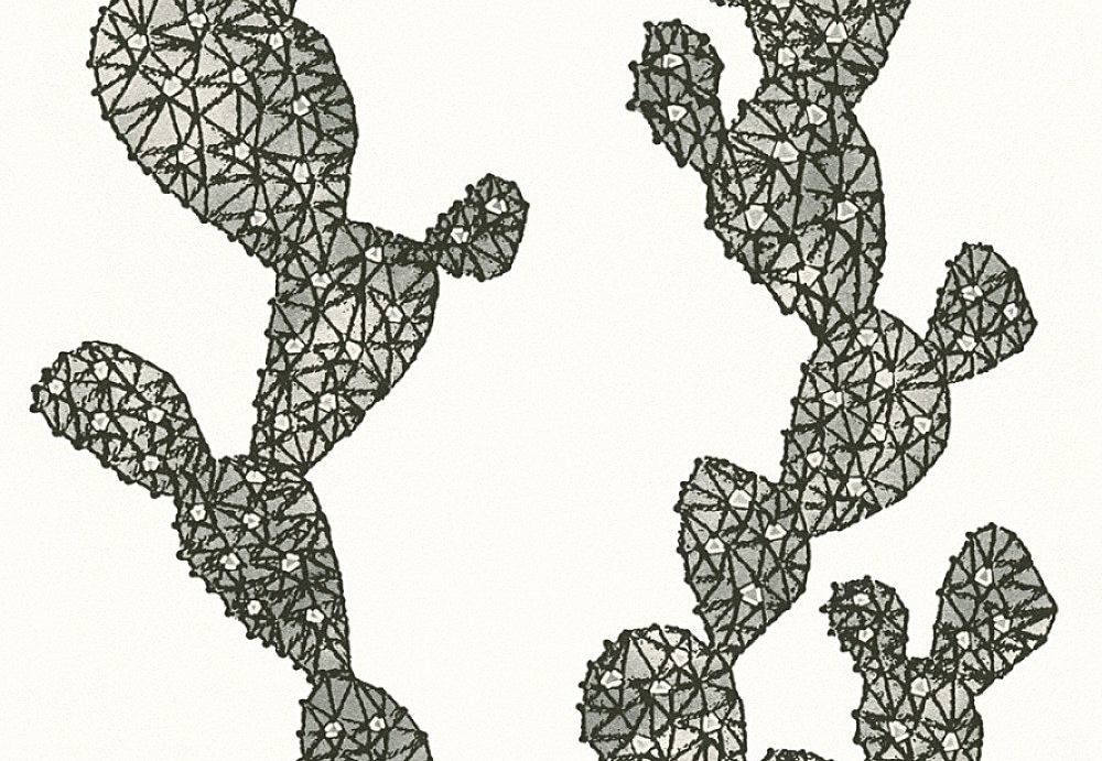 Обои A. S. Creation Urban Flowers 327992