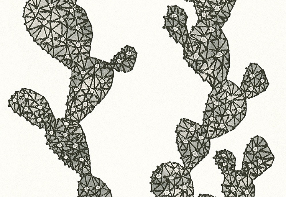 Обои A. S. Creation Urban Flowers 327992