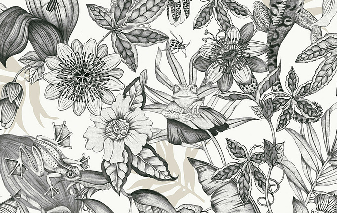Американские обои York, коллекция Blooms II Resource Library, артикул BL1703