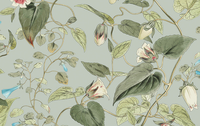 Американские обои York, коллекция Blooms II Resource Library, артикул BL1712