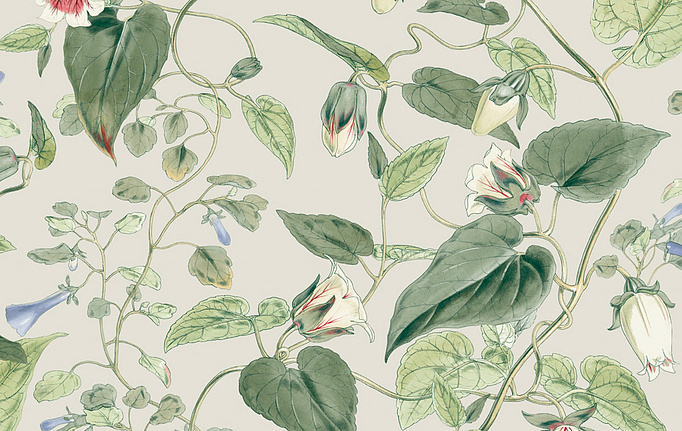 Американские обои York, коллекция Blooms II Resource Library, артикул BL1713