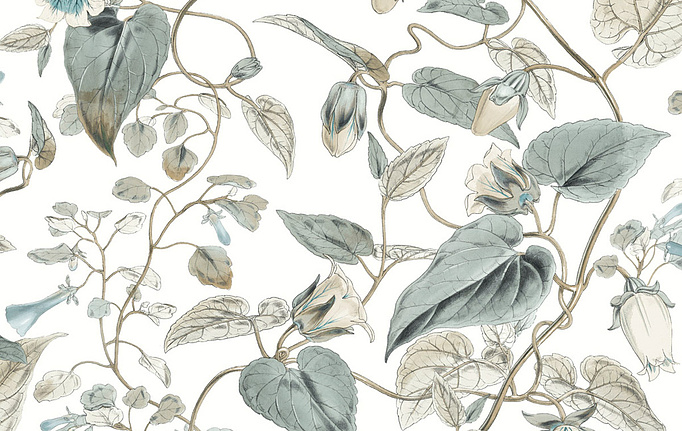 Американские обои York, коллекция Blooms II Resource Library, артикул BL1715