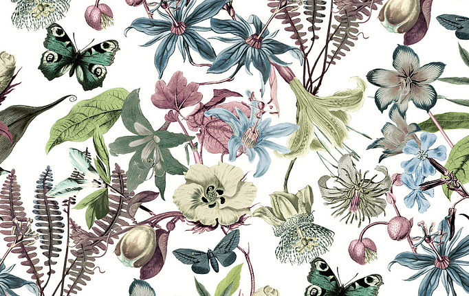 Американские обои York, коллекция Blooms II Resource Library, артикул BL1721