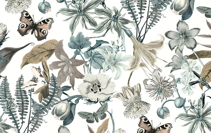 Американские обои York, коллекция Blooms II Resource Library, артикул BL1722