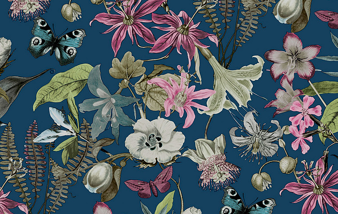 Американские обои York, коллекция Blooms II Resource Library, артикул BL1723