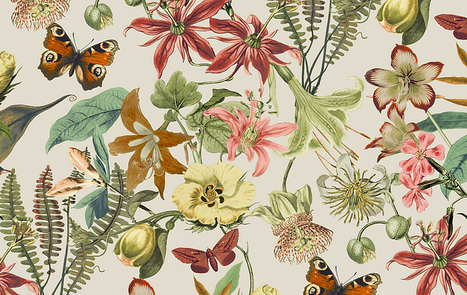 Американские обои York, коллекция Blooms II Resource Library, артикул BL1724