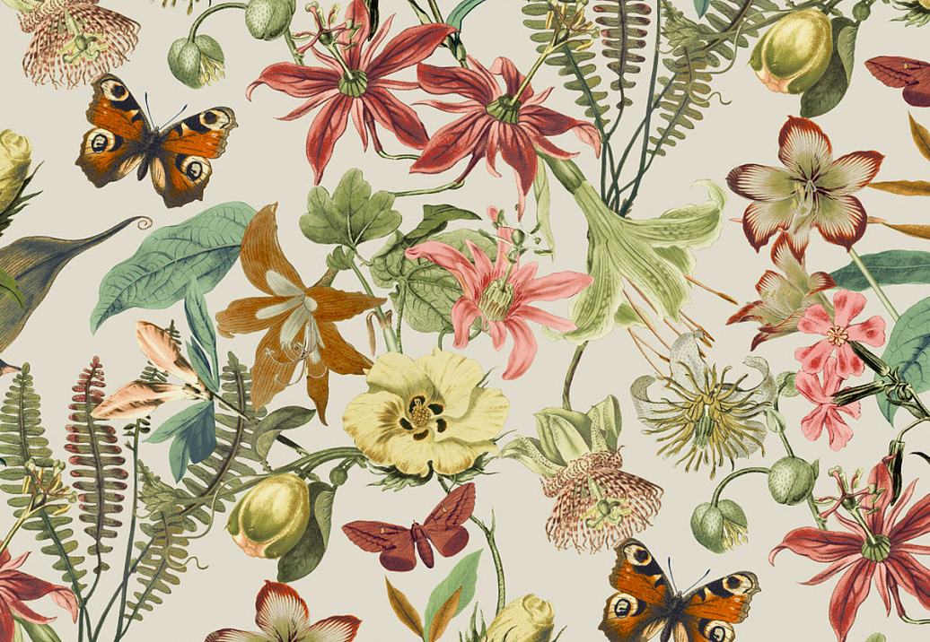 Обои York Blooms II Resource Library BL1724