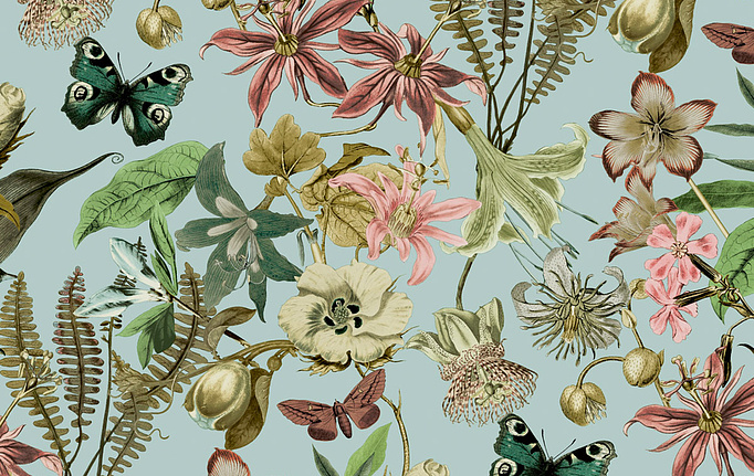 Американские обои York, коллекция Blooms II Resource Library, артикул BL1725