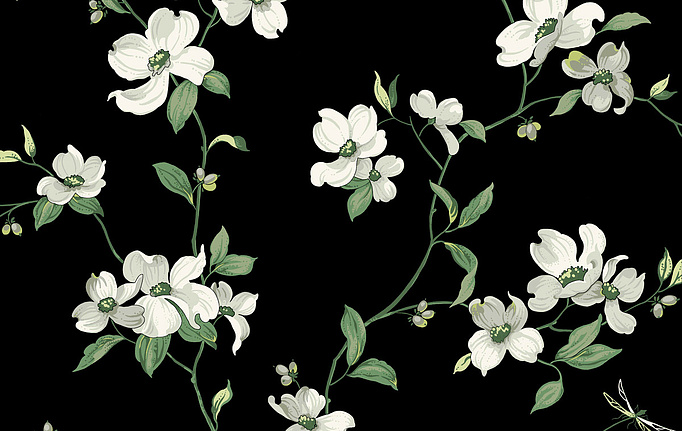 Американские обои York, коллекция Blooms II Resource Library, артикул BL1764